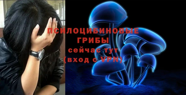 мдма Беломорск