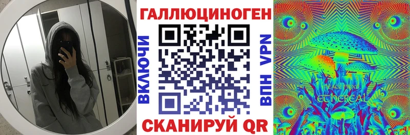 Псилоцибиновые грибы Psilocybine cubensis  Обь 